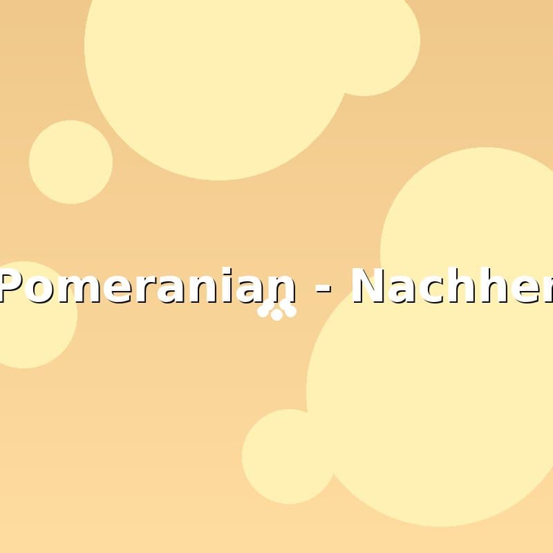 Pomeranian — Nachher