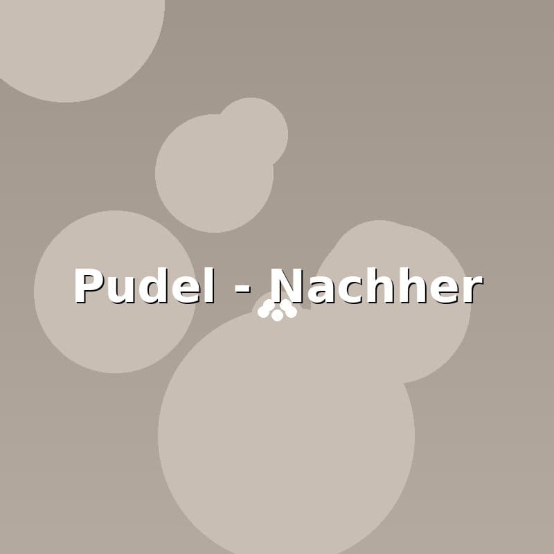 Pudel — Nachher