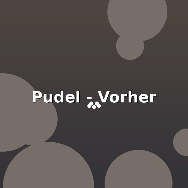 Pudel — Vorher
