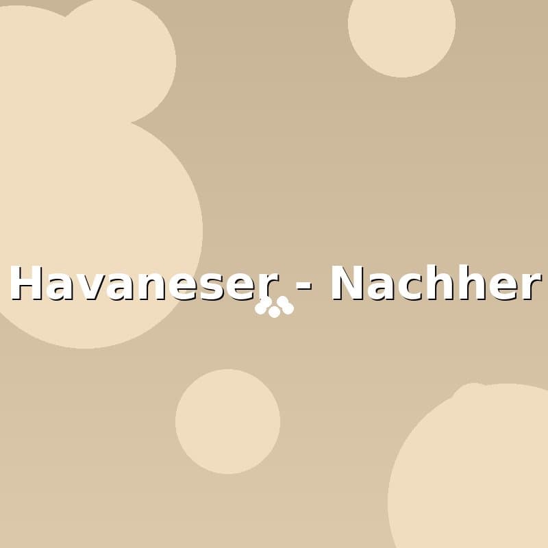 Havaneser — Nachher