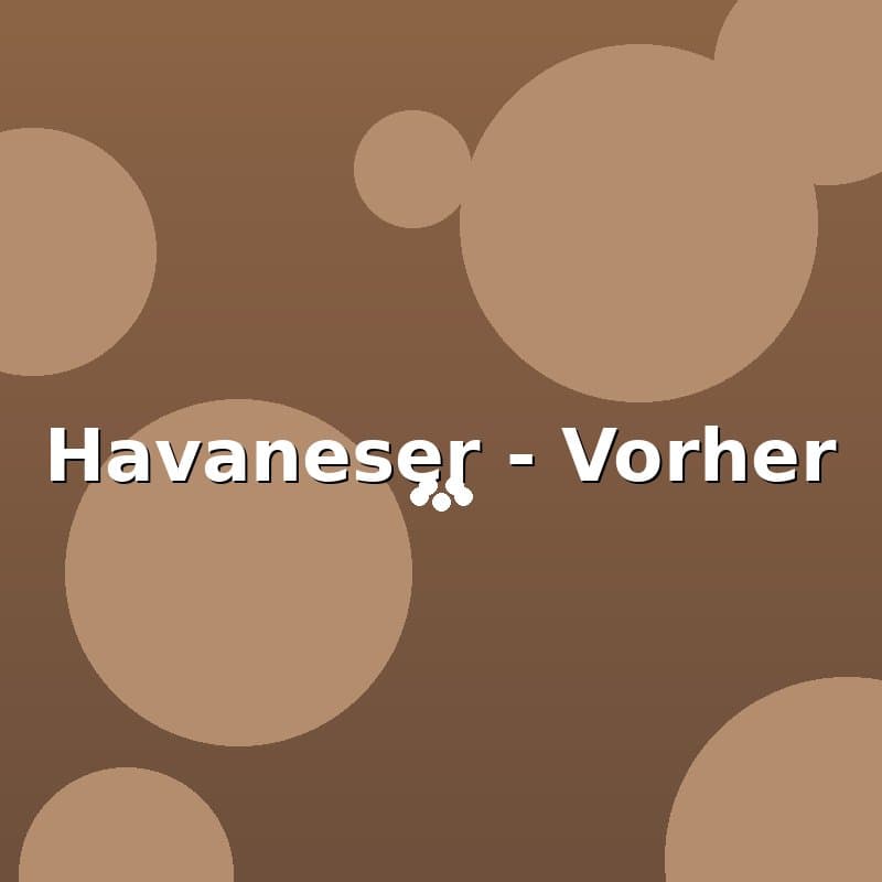 Havaneser — Vorher
